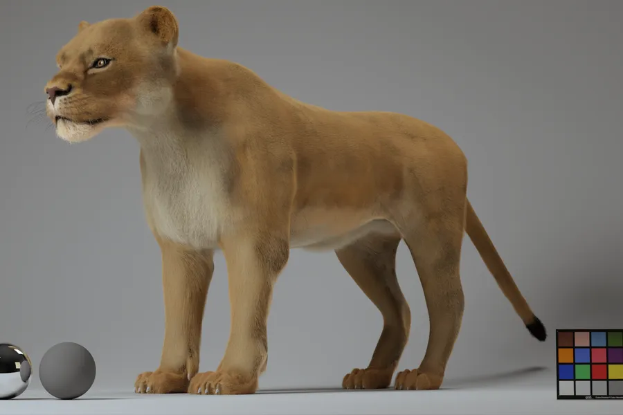 Final render process image 5